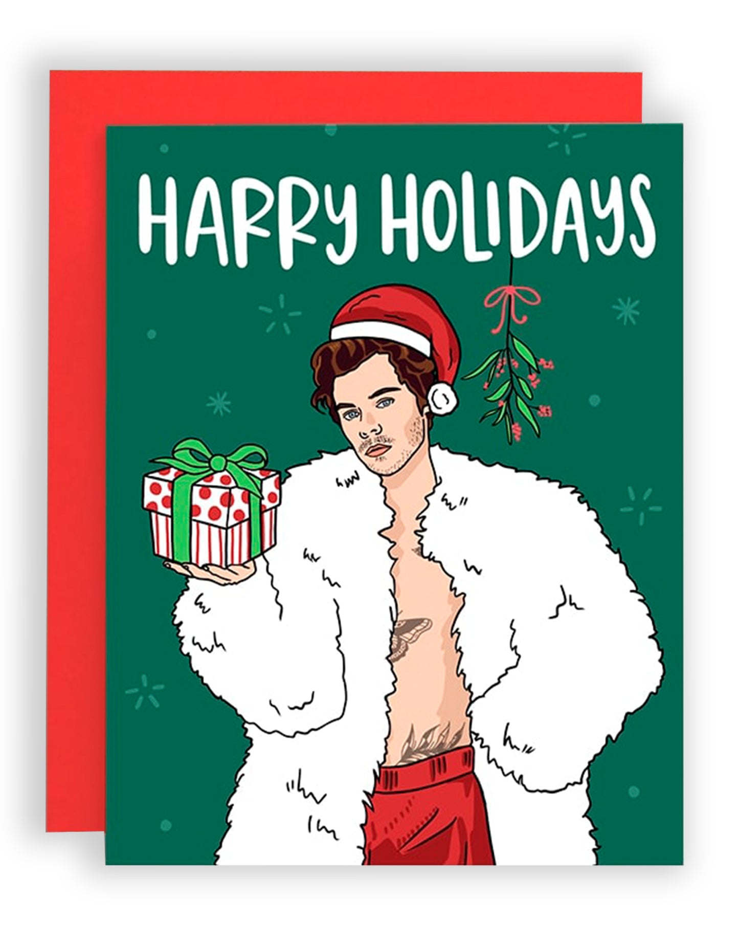 Harry Holidays Christmas Card